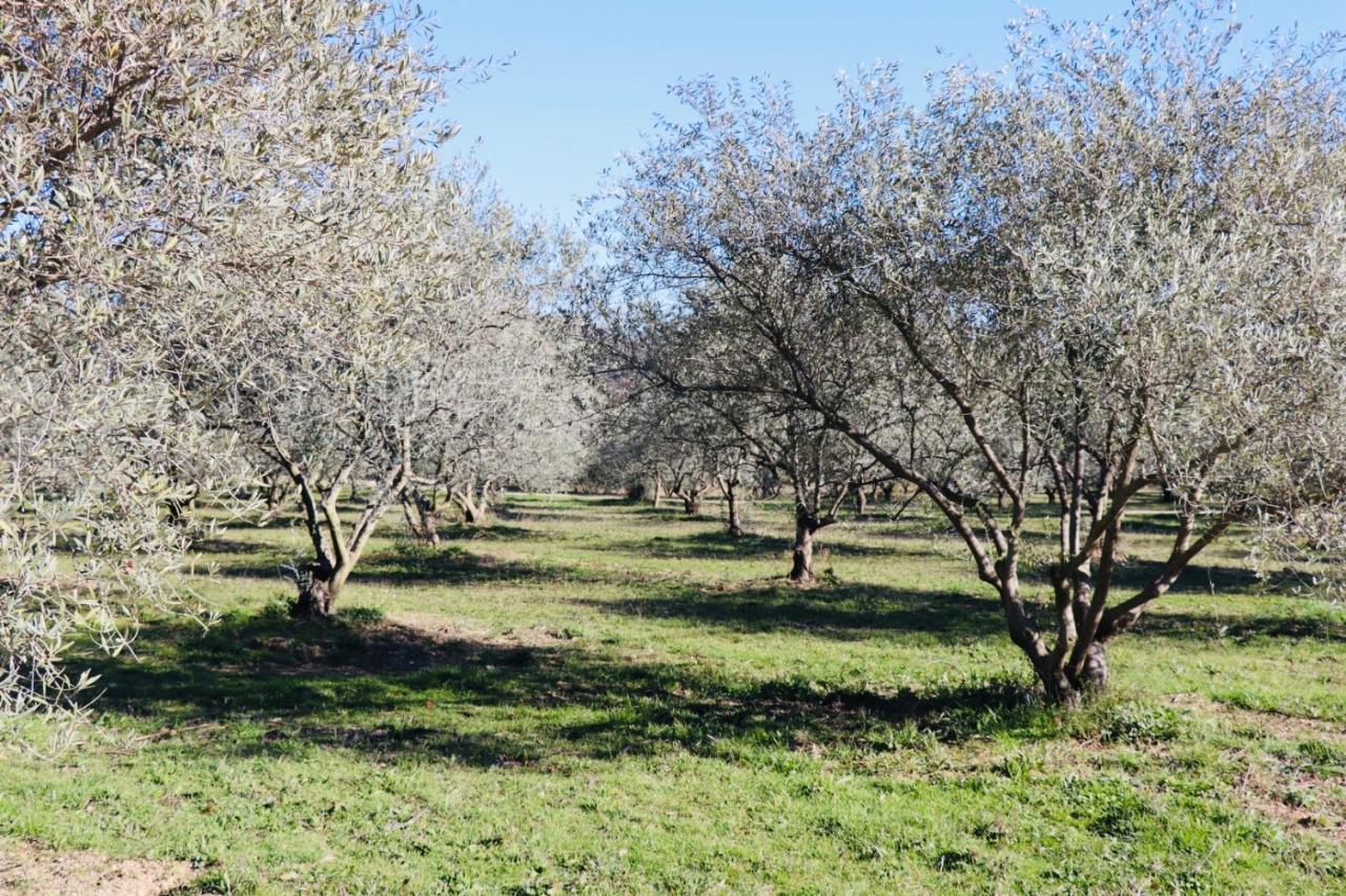 Terre Luberon 호텔 페르투이 외부 사진